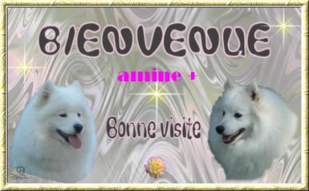 amine +